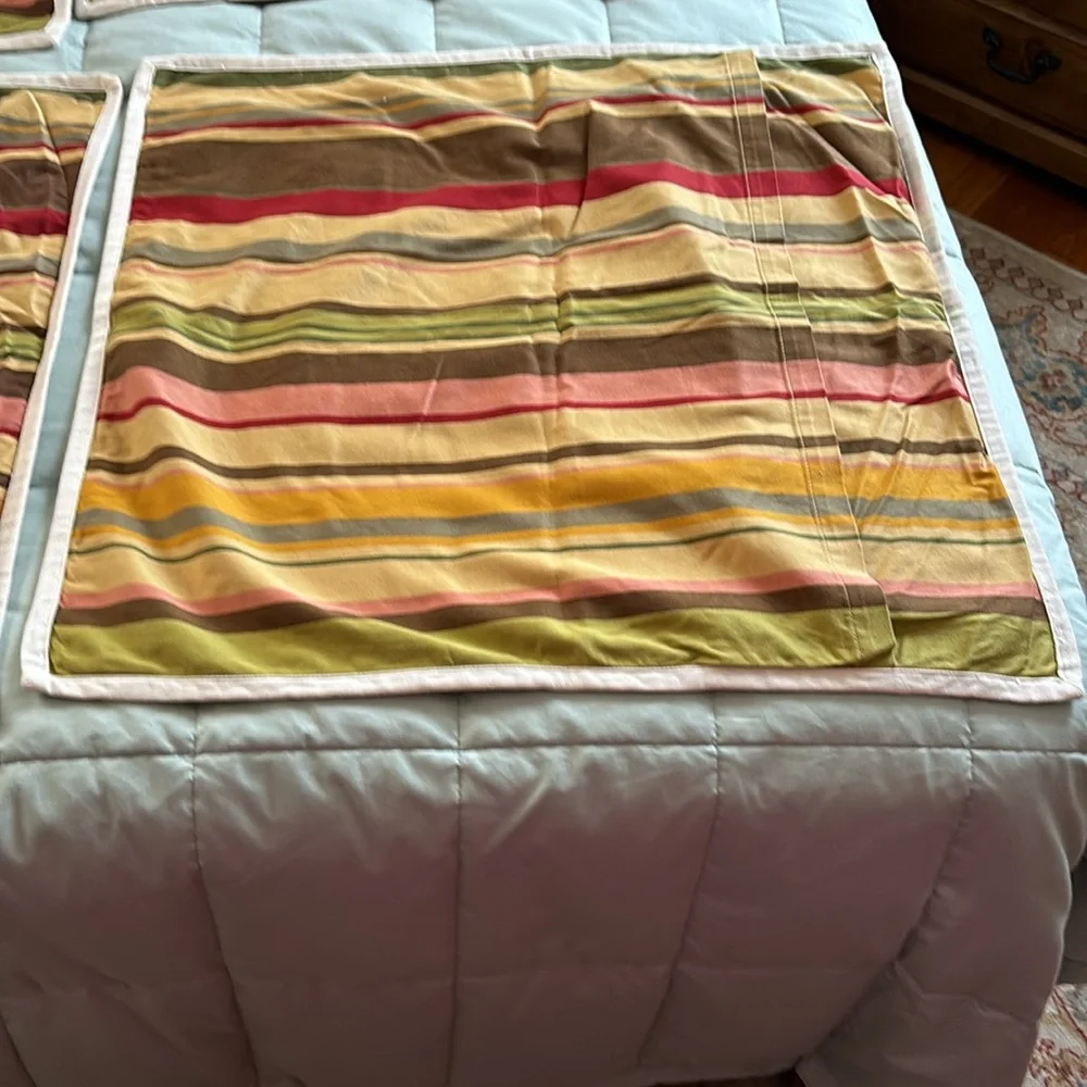 2 Pottery Barn Euro Shams